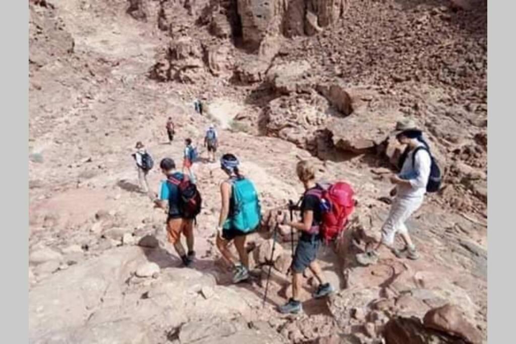 Bedouin Nature Travels Wadi Musa Exterior photo