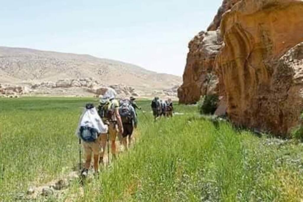 Bedouin Nature Travels Wadi Musa Exterior photo