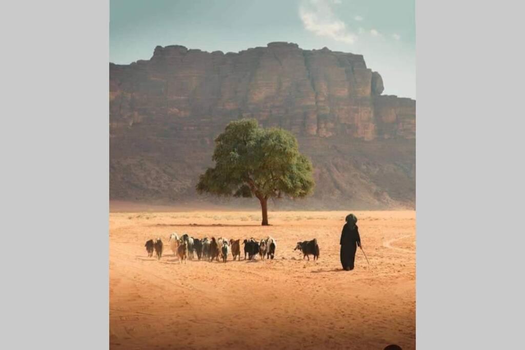 Bedouin Nature Travels Wadi Musa Exterior photo