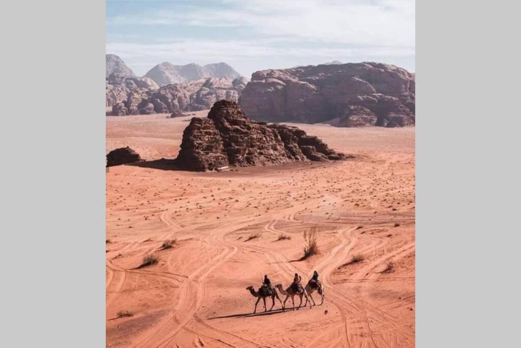 Bedouin Nature Travels Wadi Musa Exterior photo