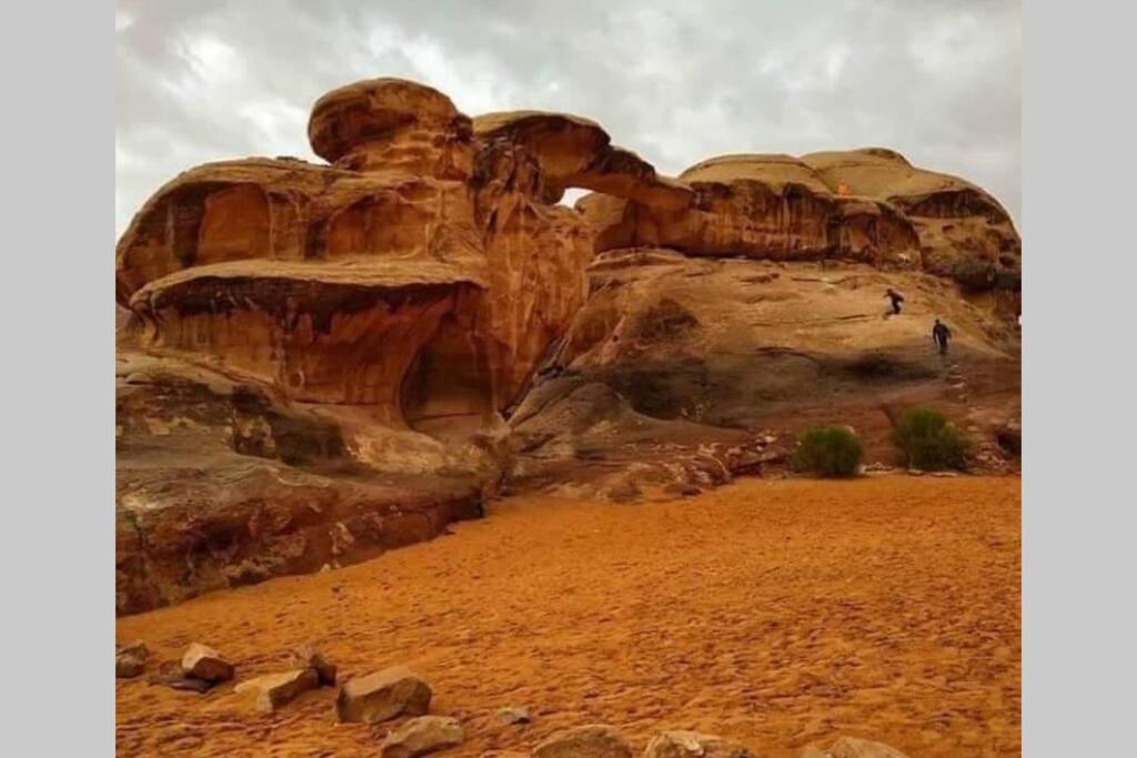 Bedouin Nature Travels Wadi Musa Exterior photo