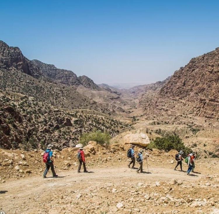 Bedouin Nature Travels Wadi Musa Exterior photo