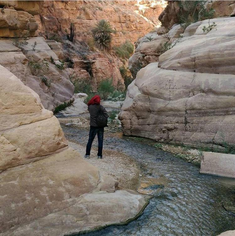 Bedouin Nature Travels Wadi Musa Exterior photo