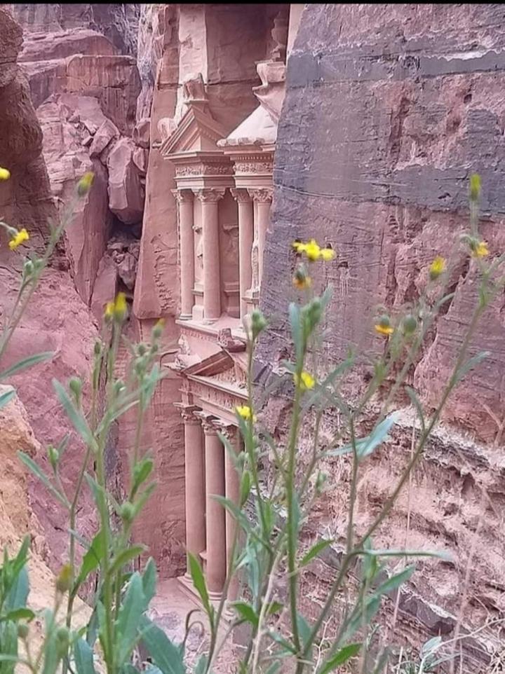 Bedouin Nature Travels Wadi Musa Exterior photo