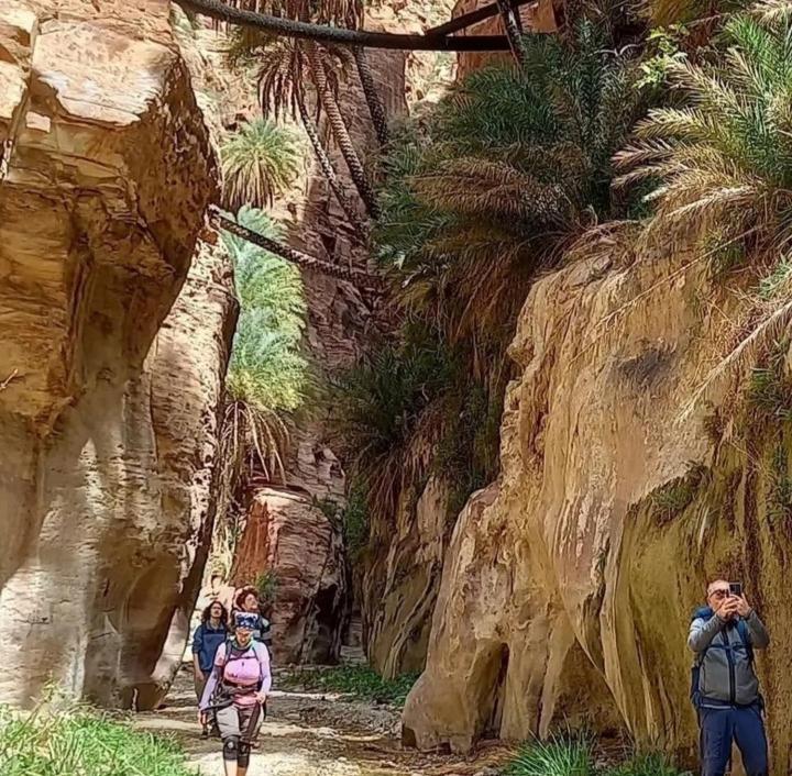 Bedouin Nature Travels Wadi Musa Exterior photo